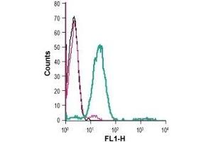 Cell surface detection of Nectin-3 in live intact human Jurkat T-cell leukemia cells: (black line) Cells. (nectin-3 Antikörper  (Extracellular))