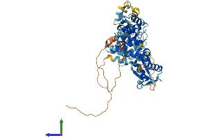 Protein Structure (PS) image for Fas-Activated serine/threonine Kinase (FASTK) (AA 1-549) protein (His tag) (ABIN7547657)