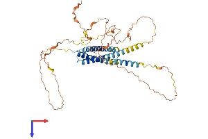 C19orf46 Protein (AA 1-404) (His tag)