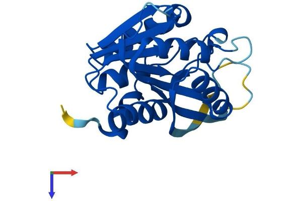 METTL5 Protein (AA 1-209) (His tag)