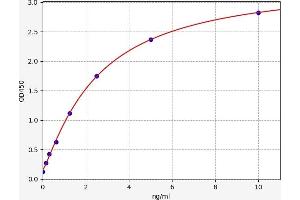 Pro-Platelet Basic Protein (Chemokine (C-X-C Motif) Ligand 7) (PPBP) ELISA Kit