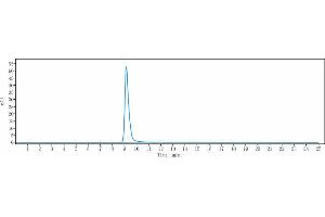 The purity of Anti-Hepcidin / HAMP Reference Antibody (Ludwig-Maximilians U.