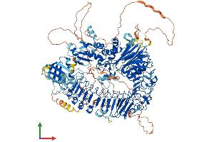 Protein Structure (PS) image for PH Domain and Leucine Rich Repeat Protein Phosphatase 2 (PHLPP2) (AA 1-1323) protein (His tag) (ABIN7554929)