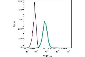 Cell surface detection of P2RY12 in live intact mouse  microglia cells: + goat-anti-rabbit-BV421.