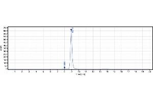 The purity of Anti-Mesothelin Reference Antibody (amatuximab) is 99. (Rekombinanter Mesothelin (Amatuximab Biosimilar) Antikörper)
