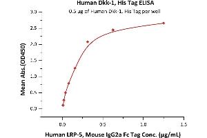 Immobilized Human Dkk-1, His Tag (ABIN2180966,ABIN2180965) at 5 μg/mL (100 μL/well) can bind Human LRP-5, Mouse IgG2a Fc Tag (ABIN6731303,ABIN6809855) with a linear range of 0.