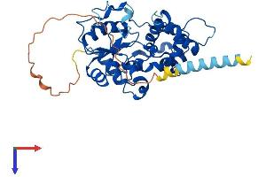 CHST10 Protein (AA 1-356) (His tag)