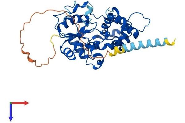 CHST10 Protein (AA 1-356) (His tag)
