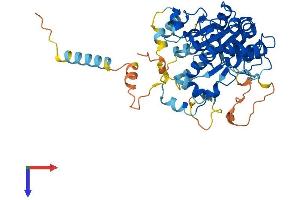 GCNT7 Protein (AA 1-433) (His tag)