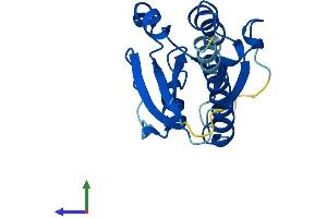 Protein Structure (PS) image for RAB, Member RAS Oncogene Family-Like 5 (RABL5) (AA 1-185) protein (His tag) (ABIN7561221)