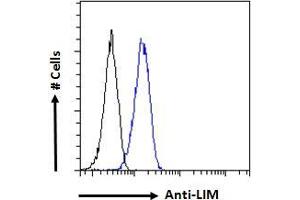 ABIN6391400 Flow cytometric analysis of paraformaldehyde fixed HeLa cells (blue line), permeabilized with 0.