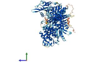 Protein Structure (PS) image for Janus Kinase 3 (JAK3) (AA 1-1100) protein (His tag) (ABIN7563946)