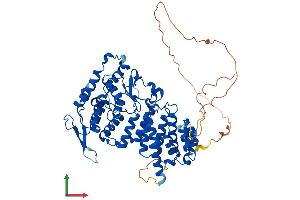 Protein Structure (PS) image for Multiple Endocrine Neoplasia 1 (MEN1) (AA 1-611) protein (His tag) (ABIN7562628)