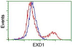 HEK293T cells transfected with either RC206223 overexpress plasmid (Red) or empty vector control plasmid (Blue) were immunostained by anti-EXD1 antibody (ABIN2454022), and then analyzed by flow cytometry. (EXD1 Antikörper)