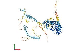 AlphaFold protein structure predicition of Mouse Recombinant Riok3 Protein, UniprotID Q9DBU3