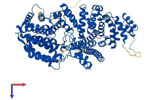 NCBP1 Protein (AA 1-790) (His tag)