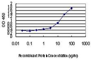 Detection limit for recombinant GST tagged SMAD3 is approximately 0. (SMAD3 Antikörper  (AA 1-110))