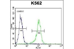 LIPC Antibody (Center) (ABIN656217 and ABIN2845534) flow cytometric analysis of K562 cells (right histogram) compared to a negative control cell (left histogram). (LIPC Antikörper  (AA 310-338))