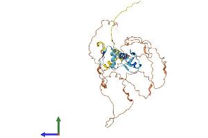 AlphaFold protein structure predicition of Human Recombinant EGR3 Protein, UniprotID Q06889