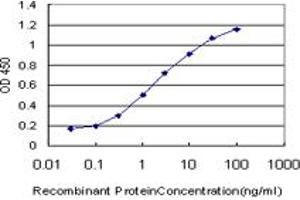 Detection limit for recombinant GST tagged JAG2 is approximately 0. (JAG2 Antikörper  (AA 121-210))