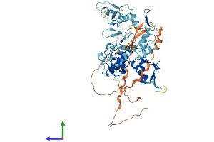 Protein Structure (PS) image for Histone H4 Transcription Factor (HINFP) (AA 1-517) protein (His tag) (ABIN7548255)