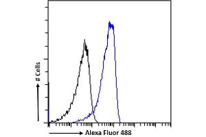 (ABIN185373) Flow cytometric analysis of paraformaldehyde fixed HeLa cells (blue line), permeabilized with 0. (Neuroserpin Antikörper  (C-Term))