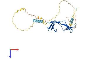 EAF1 Protein (AA 1-268) (His tag)