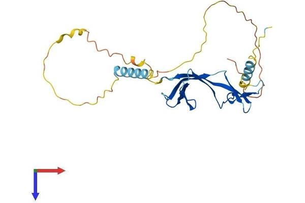 EAF1 Protein (AA 1-268) (His tag)
