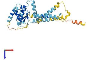 RNF170 Protein (AA 1-258) (His tag)