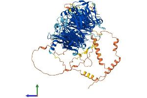 Protein Structure (PS) image for Lethal Giant Larvae Homolog 1 (LLGL1) (AA 1-1064) protein (His tag) (ABIN7554336)