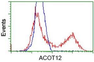 HEK293T cells transfected with either RC210445 overexpress plasmid (Red) or empty vector control plasmid (Blue) were immunostained by anti-ACOT12 antibody (ABIN2454429), and then analyzed by flow cytometry. (ACOT12 Antikörper)