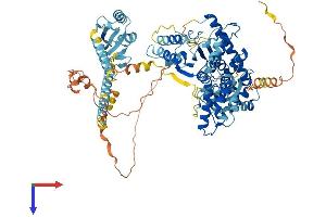 SPG7 Protein (AA 1-795) (His tag)