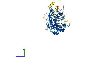 Protein Structure (PS) image for Heparan-alpha-Glucosaminide N-Acetyltransferase (HGSNAT) (AA 1-656) protein (His tag) (ABIN7557170)