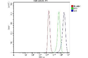Flow Cytometry analysis of 293T cells using anti-SRI antibody (ABIN7599836). (SRI Antikörper  (AA 121-161))