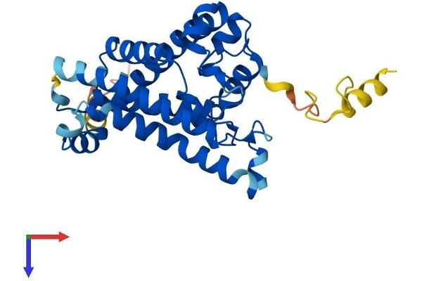 CH25H Protein (AA 1-298) (His tag)
