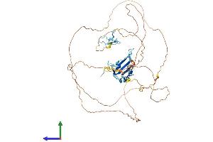 Protein Structure (PS) image for Fused in Sarcoma (FUS) (AA 1-526) protein (His tag) (ABIN7547755)