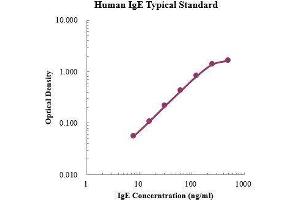 ELISA image for IgE ELISA Kit (ABIN3198436)