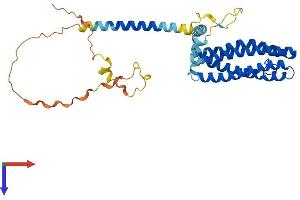 SCAMP3 Protein (AA 1-349) (His tag)