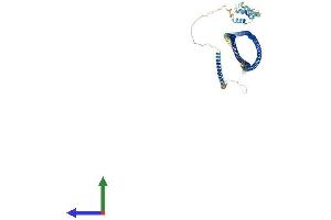 Protein Structure (PS) image for Golgin A1 (GOLGA1) (AA 1-758) protein (His tag) (ABIN7560656)