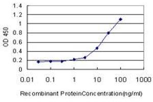 Detection limit for recombinant GST tagged ATG3 is approximately 1ng/ml as a capture antibody. (ATG3 Antikörper  (AA 1-100))