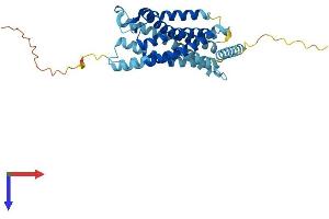 CCRL1 Protein (AA 1-350) (His tag)