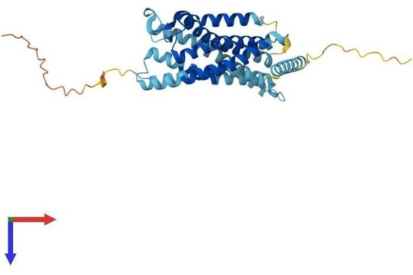 CCRL1 Protein (AA 1-350) (His tag)