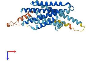 MC1 Receptor Protein (AA 1-317) (His tag)