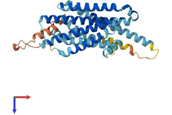 MC1 Receptor Protein (AA 1-317) (His tag)