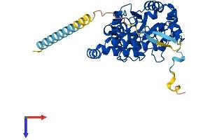 TPST1 Protein (AA 1-370) (His tag)