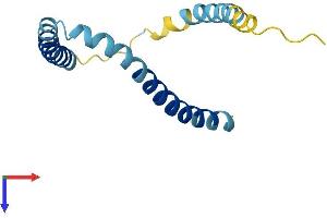 KCNE2 Protein (AA 1-123) (His tag)