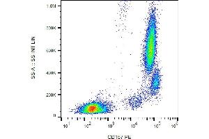Flow cytometry analysis (surface staining) of human peripheral blood leukocytes with anti-human CD157 (SY11B5) PE.