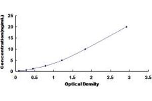 Typical standard curve (ALOXE3 ELISA Kit)