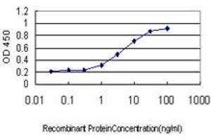 Detection limit for recombinant GST tagged RNASEH1 is approximately 0.