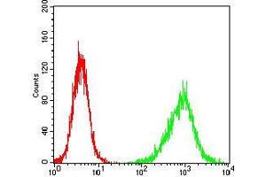 Flow cytometric analysis of NIH/3T3 cells using HH3 mouse mAb (green) and negative control (red).